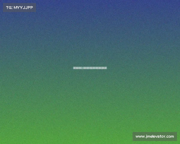 理想电子竞技;《电竞征途：以信念铸就巅峰加冕》